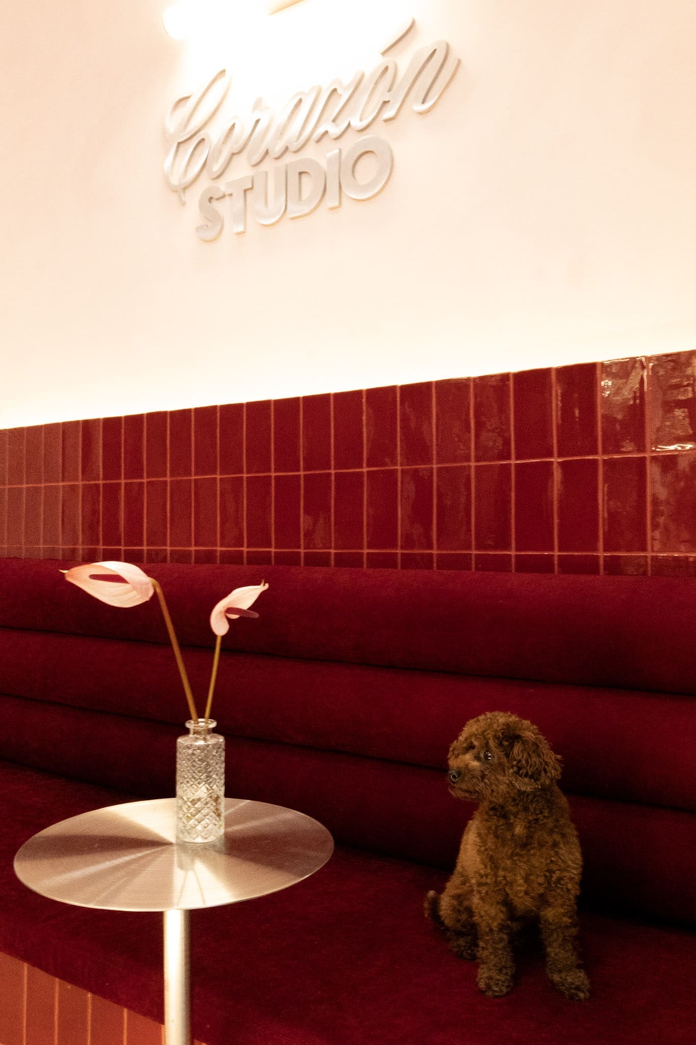Corazón Studio Madrid By A Management Social Media Agency